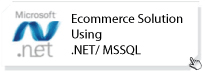 Ecommerce Development Using .NET