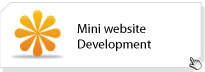 Mini Website Designing Services