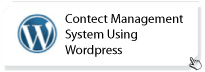 WordPress Web Designing Services