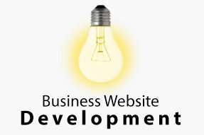 Business website development